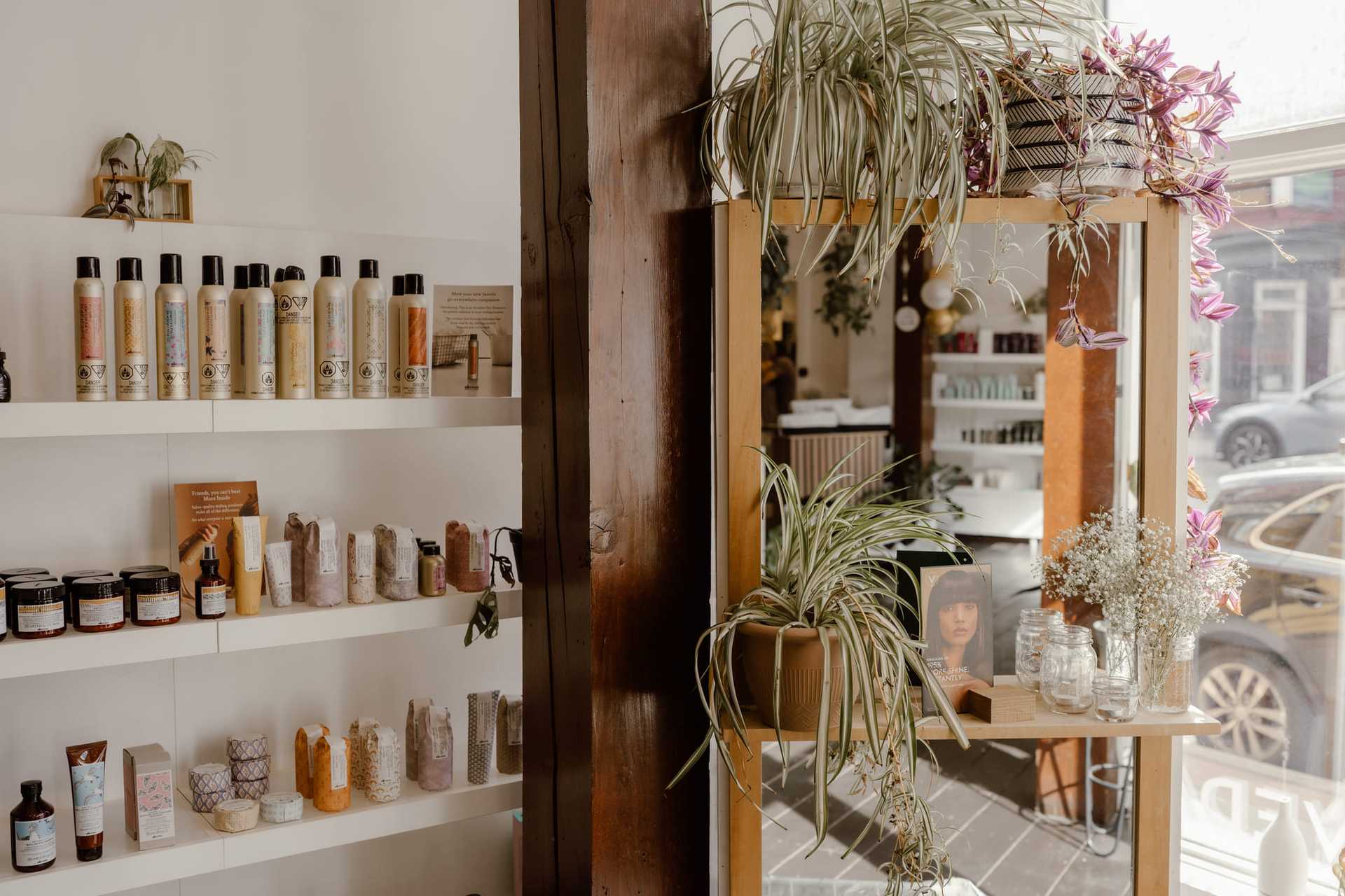 Cozy boutique with natural skincare products and hanging plants.